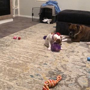 Meet your Posher, Tim